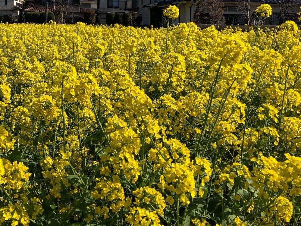 意図的に繰り返すことで強化する！反復こそ人生のクオリティを上げるテクニック